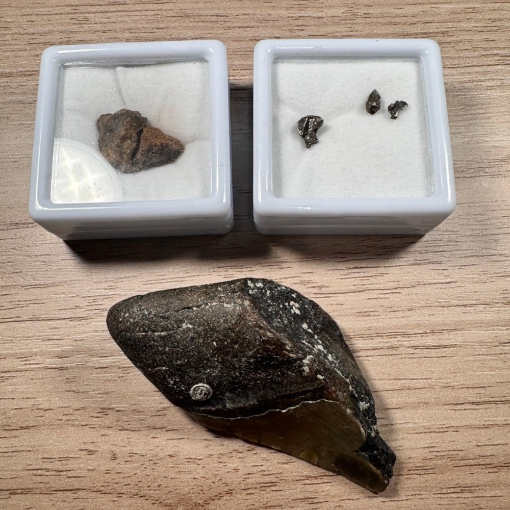 Fossil Shark Tooth and Campo del Cielo Iron Meteorite Shrapnel Collection Lot 24